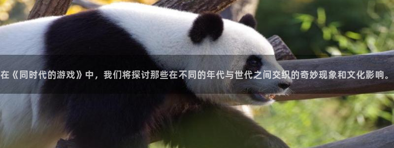 沐鸣2河内一分彩正规吗