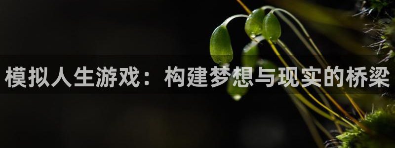 沐鸣2注册登录地址：模拟人生游戏：构建梦想与现实的桥梁