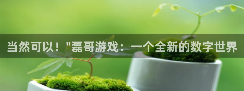沐鸣2河内一分彩正规吗：当然可以！\