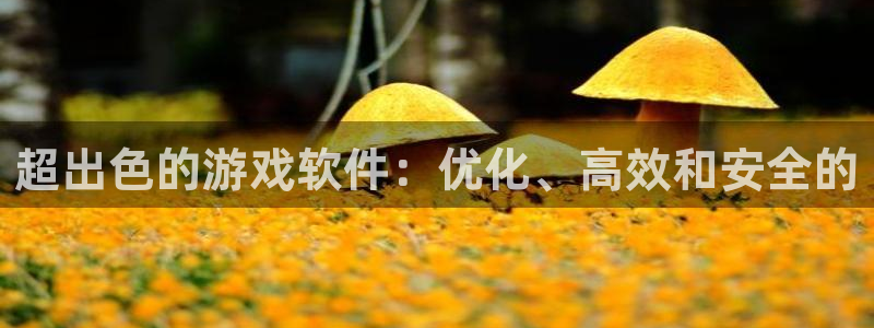 沐鸣2注册：超出色的游戏软件：优化、高效和安全的