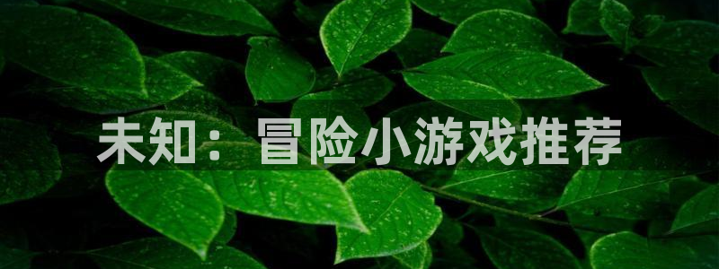 沐鸣2平台官网登录：未知：冒险小游戏推荐