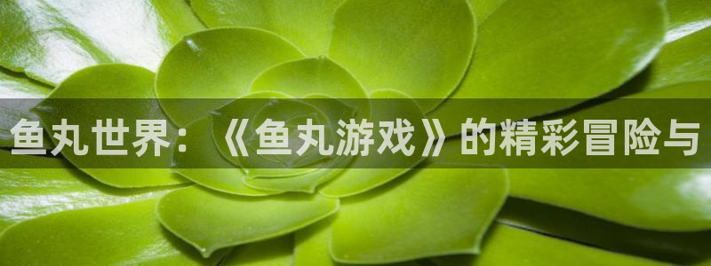 沐鸣2平台首页：鱼丸世界：《鱼丸游戏》的精彩冒险与