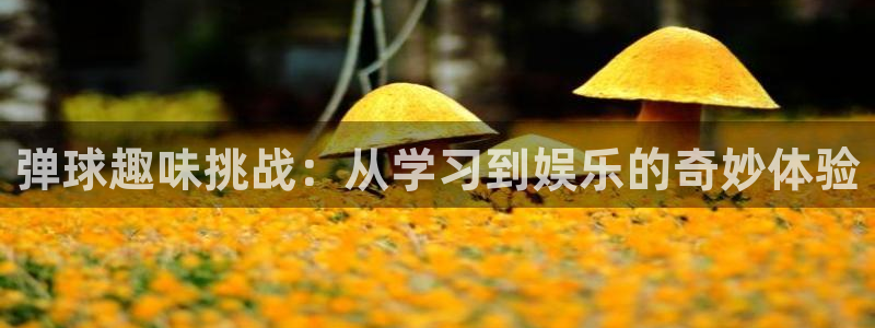 沐鸣2娱乐：弹球趣味挑战：从学习到娱乐的奇妙体验