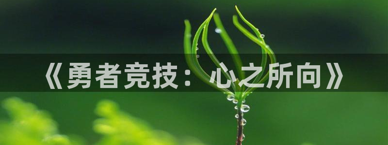 沐鸣2登录优先渠道：《勇者竞技：心之所向》