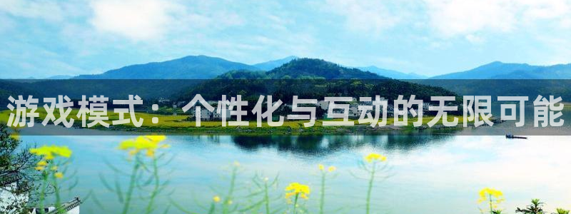 沐鸣2平台官网：游戏模式：个性化与互动的无限可能