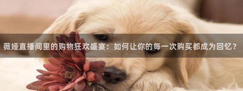 鲸鱼体育直播下载：薇娅直播间里的购物狂欢盛宴：如何让你的每一次购买都成为回忆？