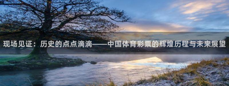 鲸鱼体育在线直播：现场见证：历史的点点滴滴——中国体育彩票的辉煌历程与未来展望