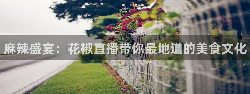 nba鲸鱼直播：麻辣盛宴：花椒直播带你最地道的美食文化