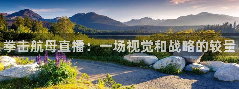 鲸鱼体育网址：拳击航母直播：一场视觉和战略的较量