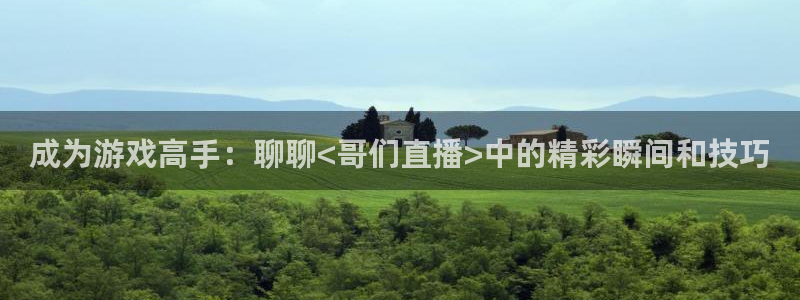 鲸鱼直播官网：成为游戏高手：聊聊<哥们直播>中的精彩瞬间和技巧