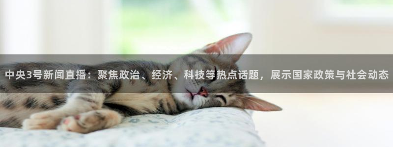 足球鲸鱼直播：中央3号新闻直播：聚焦政治、经济、科技等热点话题，展示国家政策与社会动态