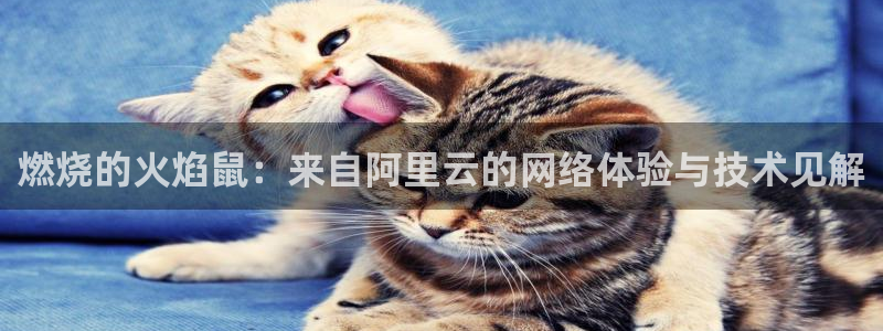 鲸鱼体育直播官网：燃烧的火焰鼠：来自阿里云的网络体验与技术见解